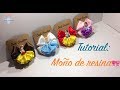 Tutorial: Como hacer Moños con Resina de Princessas