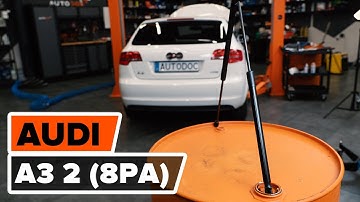 How to replace a tailgate gas strut on an AUDI A3 2 (8PA) [AUTODOC MANUAL]