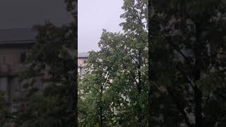 Дождь. Киев Украина 22.06.20 Ukraine Kiev Rainy