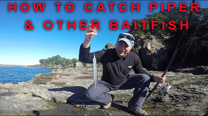 How to catch baitfish like piper, mackerel and mullet
