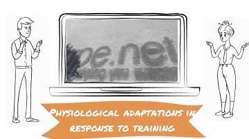 Physiological adaptations in response to training