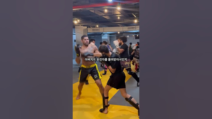 아들과 스파링하는 알렉스 페레이라, 벌써 페레이라 타격을 장착한 페레이라 주니어 ㄷㄷ..
