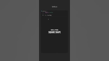 Python Turtle Square Pattern