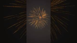 Crown Jewels #diwali #skyshot #cockbrand #patakhe #crackers #fireworks #yt #trending #viral #shorts