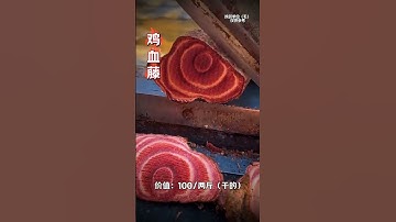 Unveiling the Ten Most Expensive medicinal Herbs in China How Many Do You Know#Plant scien