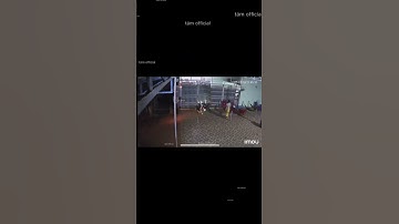 BÁO THỦ về đêm & cô gái thoát chết trong gang tấc 👍👍