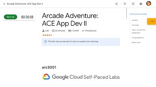Arcade Adventure ACE App Dev II arc3001 screenshot 4