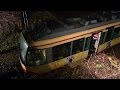 S-Bahn fährt in umgestürzten Baum bei Walzbachtal am 08.02.2016