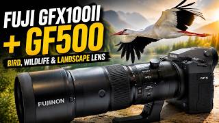 Fuji GFX100 II + Fuji GF 500mm - Bird, Wildlife & Landscape Lens
