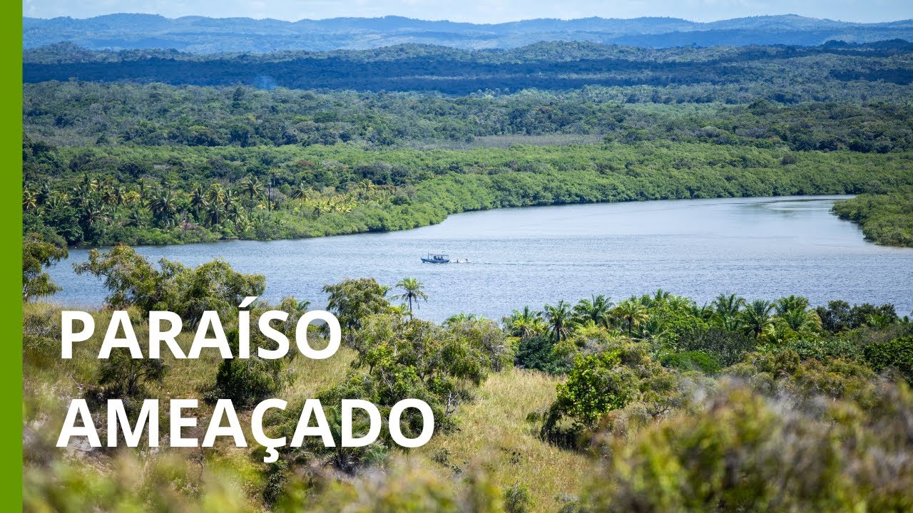 Condomínio de luxo ameaça Mata Atlântica e comunidades tradicionais na Ilha de Boipeba, BA