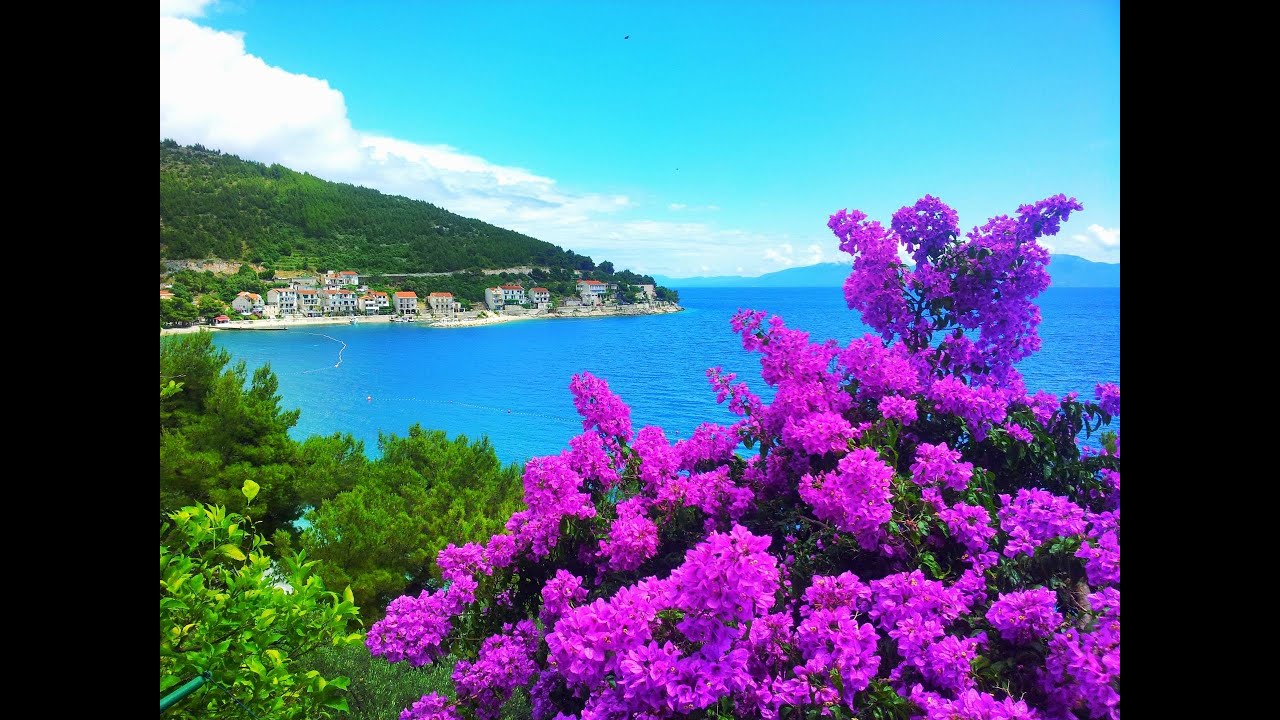 Drvenik Chorwacja Apartments Marin YouTube