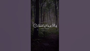 اكتب شي تؤجر عليه 💚 | القارئ عبدالرحمن مسعد | قرآن كريم