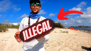 I Caught So Many ILLEGAL Fish!!! (Catch &Cook)