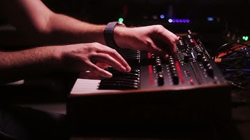 Dave Smith Instruments Pro-2 soundscape - What is upon us