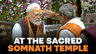 PM Modi offers prayers at the sacred Somnath Temple, performing darshan and pooja