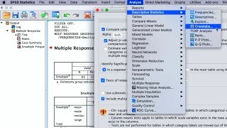 SPSS: How To Perform Quantitative Data Analyses For Bachelor