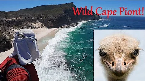 Ep 47 - Exploring the Cape of Good Hope and Cape Point - 4K walking tour... with the ostriches