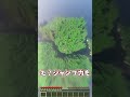 【霊夢vs魔理沙】異変が起こり続ける世界でのプレイの違い【ゆっくり実況/ゆっくり茶番】【マインクラフト/マイクラ】#shorts