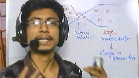 Bottleneck effect CSIR NET life sciences