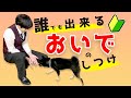 【超わかる】だれでも簡単！おいでのしつけ方法【解説】