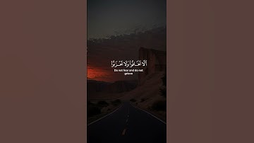 سورة فصلت #القران_الكريم #لايك #اكسبلور #الرحمن #المصحف #دويتو #راحة_نفسية