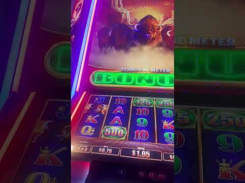 🏆 Beat the unthinkable — took the crown! #casino #freespins #bonus #bigwin #jackpot