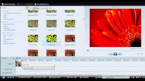 WMM Tutorial {requested}