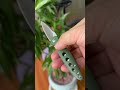 NEW DROP crazy balance — Hummingbird #gift #asmr #relax #edc  #handmade #pocketknifes #Hummingbird