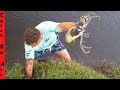 GIANT MUD CRAB Digging in FLORIDA!