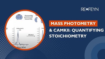 Quantifying CaMKII Stoichiometry with Mass Photometry