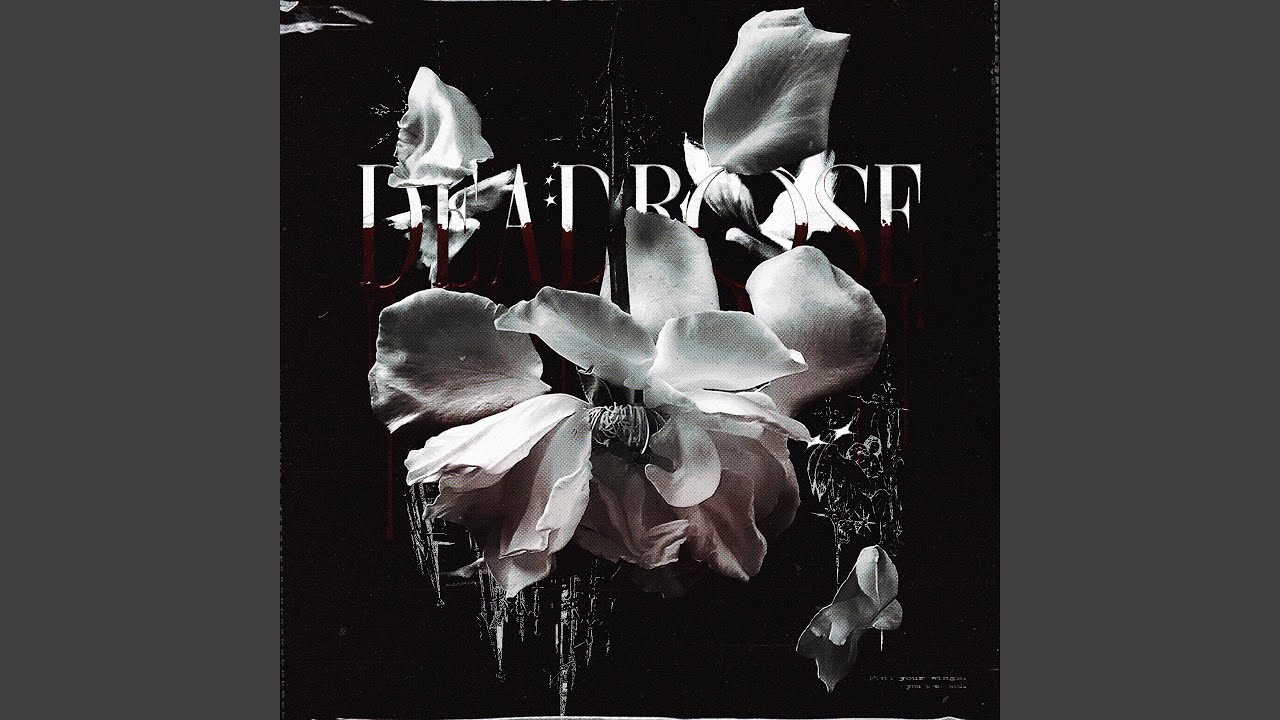 Watch deadrose on YouTube Watch deadrose on YouTube
