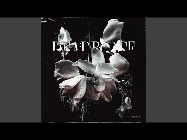 deadrose