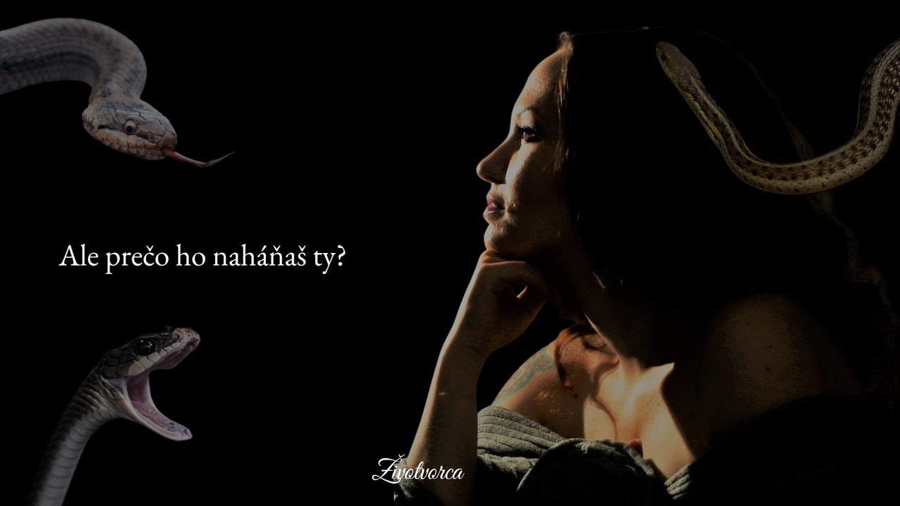 Narcis je nebezpečný had