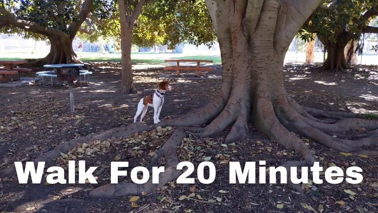 Let's Check Out the RANCHO PARK ARCHERY RANGE, Los Angeles YouTube
