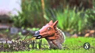 Horse Head Squirrel Feeder- The new way to feed the squirrels.mp4.