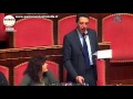 Buccarella (M5S): "Lavoro, più schiavi!"