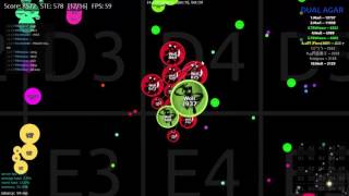 Dual-Agar - REALTIME MULTIBOXING - DarkPeace