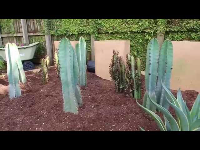 Desert Escape Garden Design Tips - YouTube
