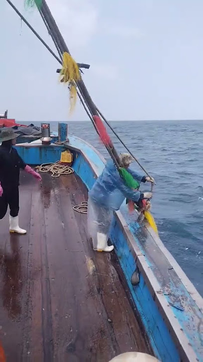 nelayan cari ikan #nelayan #nelayanstory #fishing #nelayanhilang #dilaut #mancing