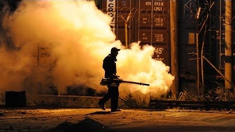 Bangkok officials purchase larvicide to tackle Dengue outbreak