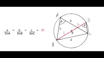 SINE RULE: A Comprehensive Proof.