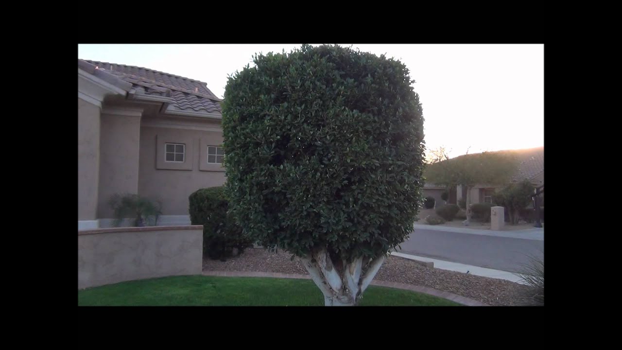 Spanish Conditional Tense