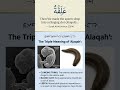 The Leech-Like Phase of the Human Embryo: Alaqah Confirmed 🧬 #shorts