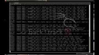 Hacking Windows 7 with BackTrack شرح إختراق الوندوز7