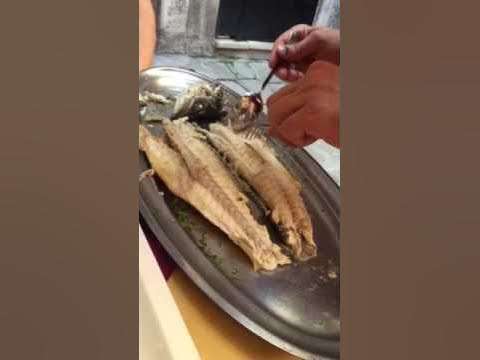 Как чистить сибаса. Сибас филе. Сибас рыба чешуя. Как чистить сибаса. Сибас мясо.