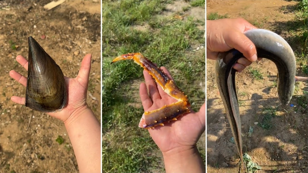 1 Đồng Mua Được Gì? #3 | Tik Tok Ẩm Thực Trung Quốc | H2T Tik Tok