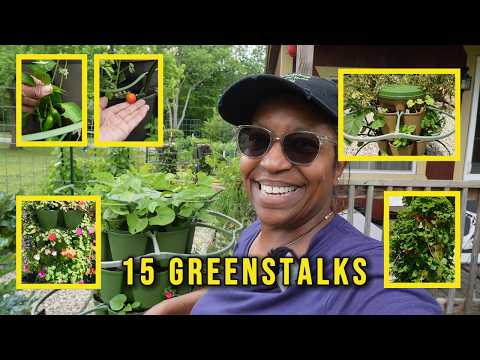 My Complete GreenStalk Garden Tour! 🌿