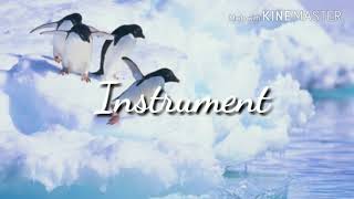 Jenai Bhi Dai | Yasir Dessai | Dil Sambhal Ja Zara