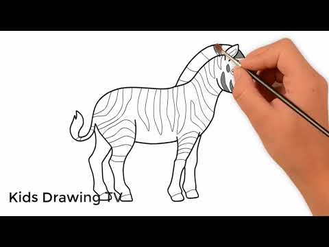 How to draw a Zebra step by step . - YouTube