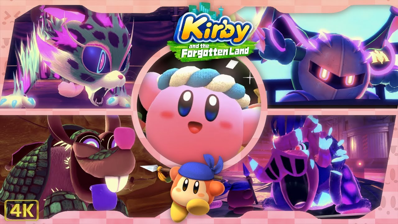The Ultimate Cup Z (Hammer+⭐ Kirby & Bandana Dee) Kirby and the